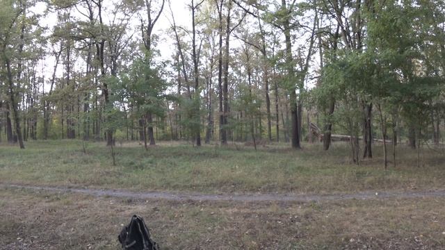 Cyclist's diary. Учусь кататься на заднем колесе велосипеда (wheelie). Day 1 смотреть онлайн