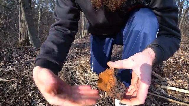 Выживание в лесу 2020, КАК ДОБЫТЬ ОГОНЬ БЕЗ ЗАЖИГАЛКИ, огонь трением чаги смотреть онлайн