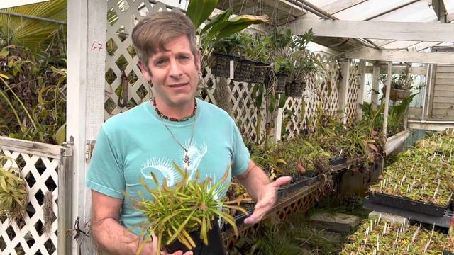 What Was Your First Carnivorous Plant? смотреть онлайн