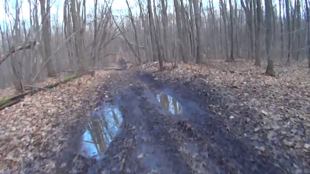 Велопоездка по лесу затянулась до темна смотреть онлайн