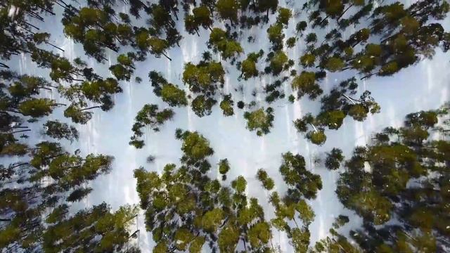 639 Hz Solfeggio Meditation | 639 Hz the Miracle Tone of Love | Heart Chakra Frequency смотреть онлайн