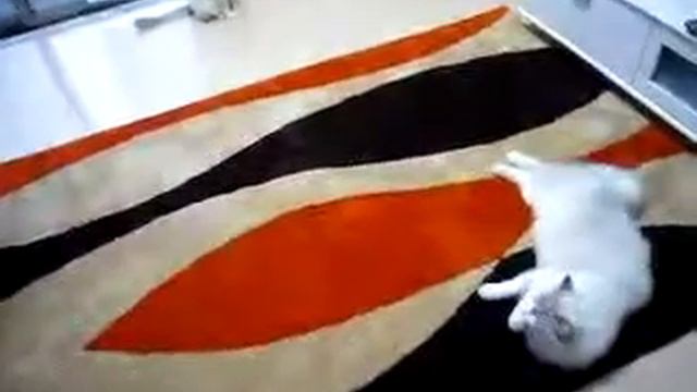 Rag On The Rag [remix]
