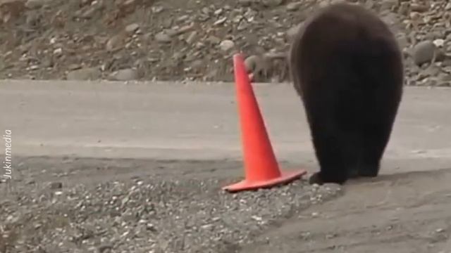 Мишка и дорожный знак смотреть онлайн