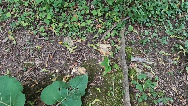 Over 120 Years Old Brickyard - Finding History - Metal Detecting Area Search - Maps - Garrett AT Ma