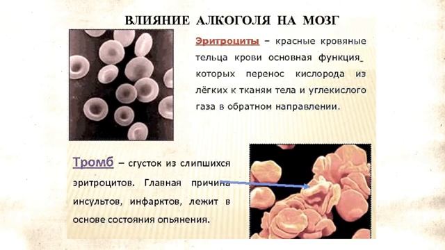 Простые правила как сохранить здоровье и острый ум до глубокой старости смотреть онлайн