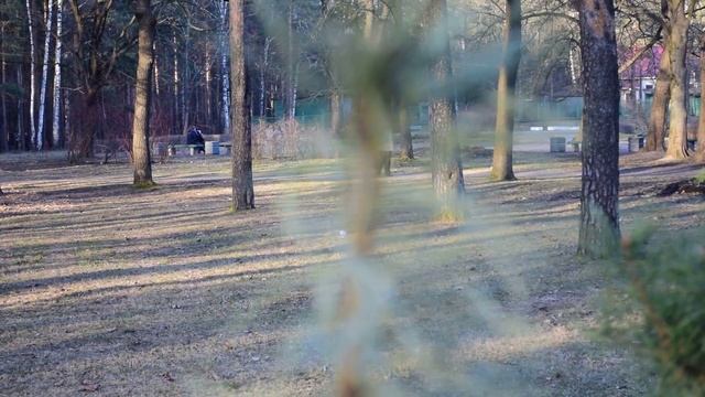 Nikon D3300 -- пример видео