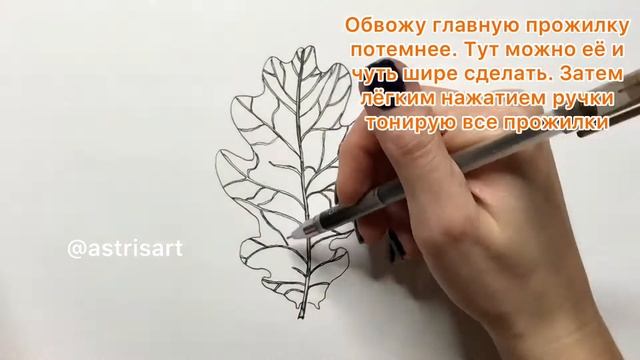 Рисуем листик дуба смотреть онлайн