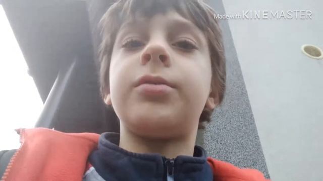 Дача. Вылупились цыплята