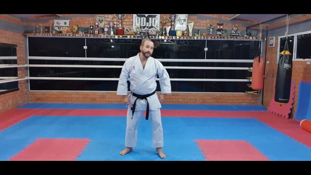 29 Karate Em Casa | KIHON SHOTOKAN - Graduados E Iniciantes