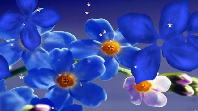 Sentimientos de Verano - Grupo Genesis de Nicaragua смотреть онлайн