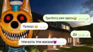 Три Кота нападают на нас