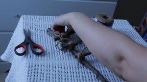 КАК СДЕЛАТЬ ЛЕСЕНКУ И КАЧЕЛЬКУ ДЛЯ ПОПУГАЯ СВОИМИ РУКАМИ