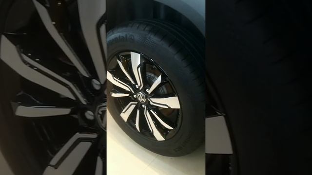 FANATICS AUTO STUDIO || CARPRO CQUARTZ PROFESSIONAL || CERAMIC COATING || MG HECTOR смотреть онлайн