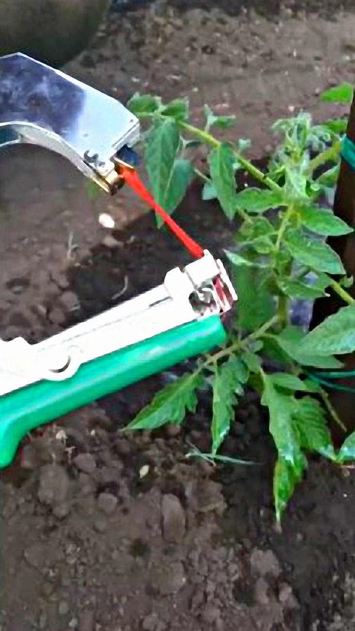 Подвязываем помидоры! смотреть онлайн