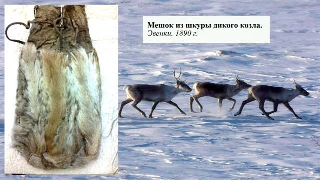 Виртуальная выставка «Коренные народы Сибири» смотреть онлайн