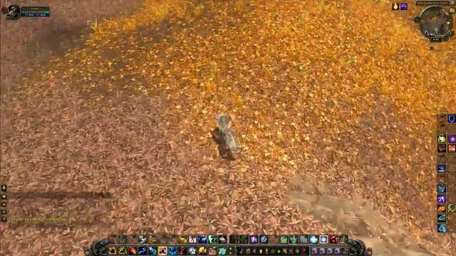 World of Warcraft 6.0.2: New Ghost Wolf Model смотреть онлайн