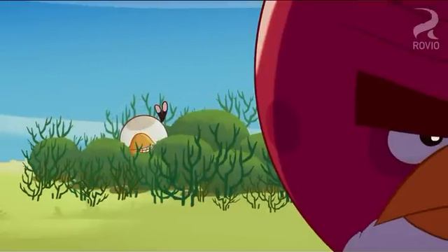 Angry Birds Toons S01E13 Gardening with Terence смотреть онлайн