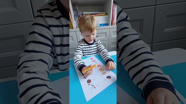 🦔🐿🦊 "Найди тень и соедини!" смотреть онлайн