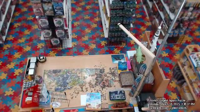 Day 288 March 16, 2015 – “Wildlife” 33600 pc World’s Largest Jigsaw Puzzle смотреть онлайн