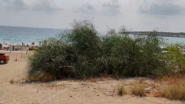 КИПР влог 2 ? | Ущелье Авакас, Корал Бей и пляжи, цикады атакуют смотреть онлайн