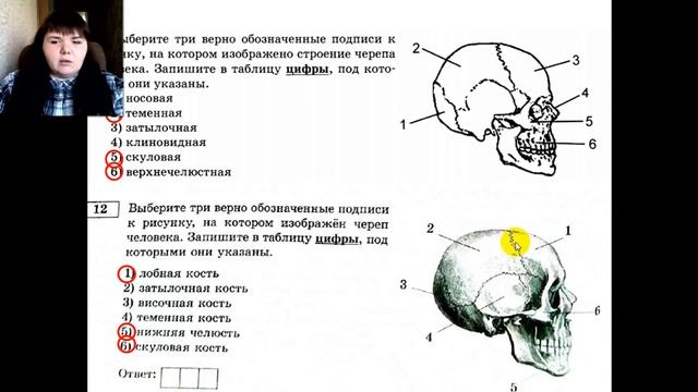 Рисунки в ЕГЭ по БИОЛОГИИ !!!!АНАТОМИЯ - Часть 1!!! смотреть онлайн