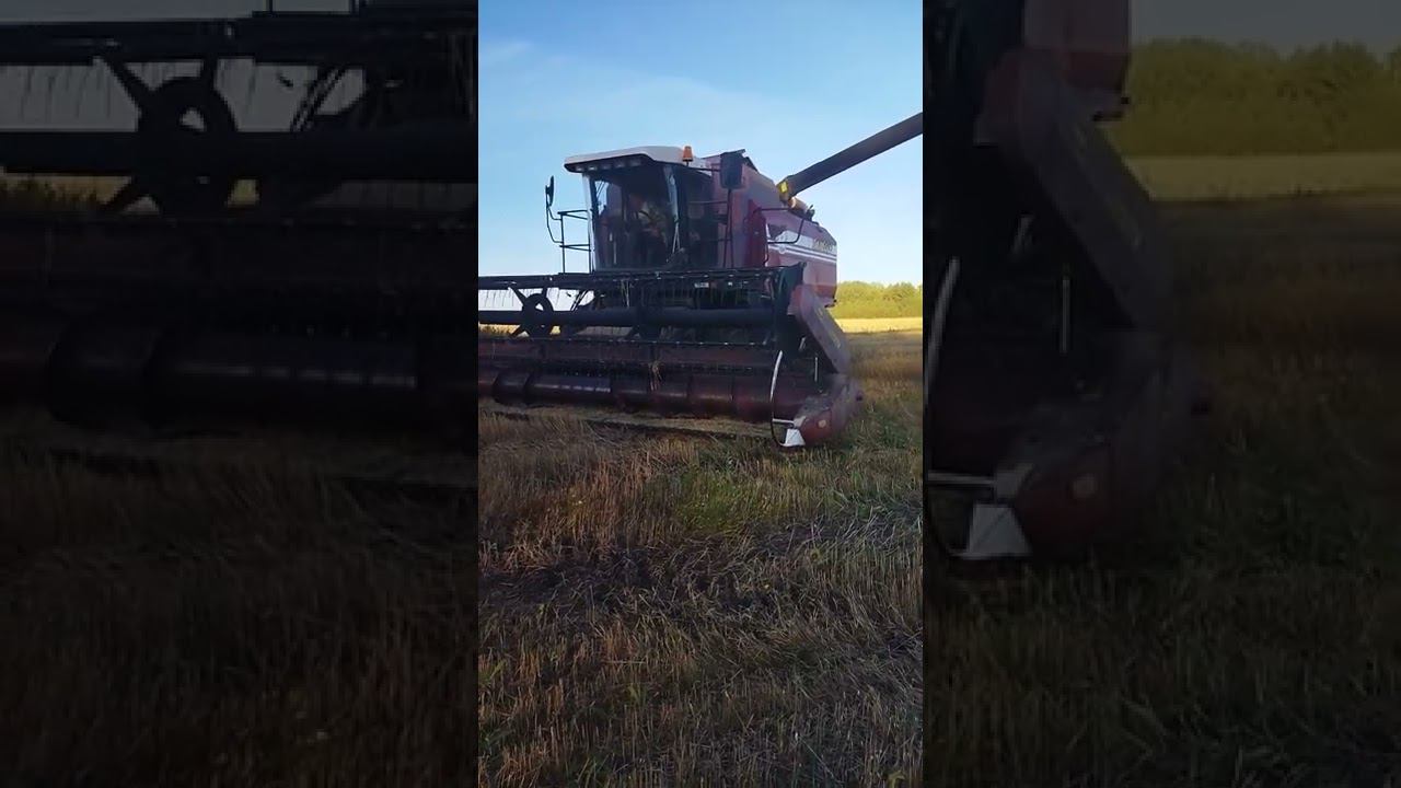 И все-таки мы ее начали! смотреть онлайн