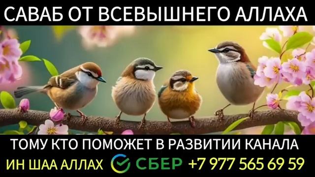 ?❤? Дуа исцеляющий все болезни Сильный Дуа от ВСЕХ Болезней! ИН ШАА АЛЛАХ! смотреть онлайн