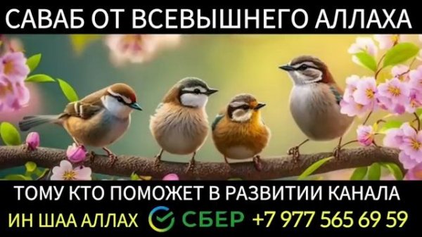 ?❤? Дуа исцеляющий все болезни Сильный Дуа от ВСЕХ Болезней! ИН ШАА АЛЛАХ!