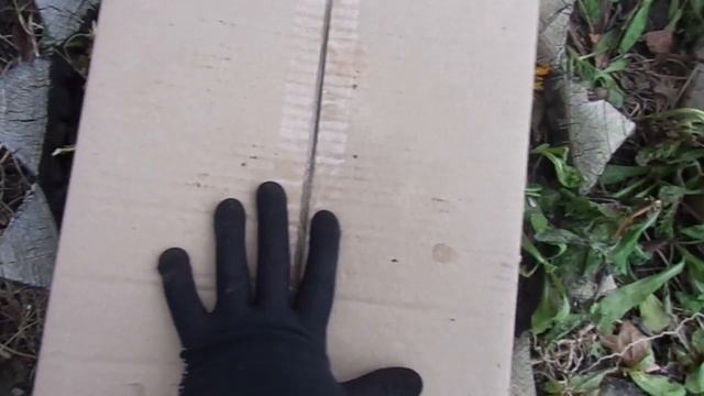 Укрытие хризантем на зиму смотреть онлайн