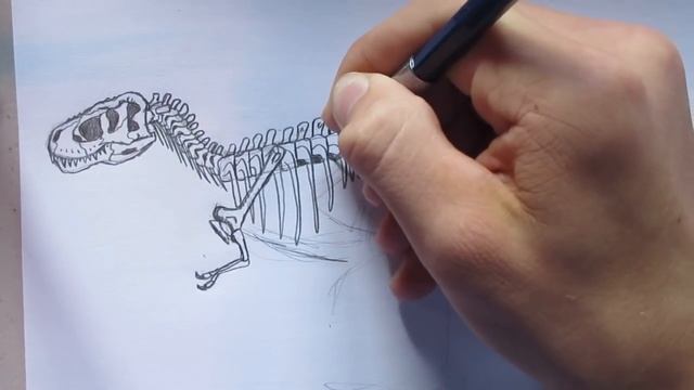 How to Draw a T. rex Skeleton. -Danny the Dinosaur Drawer смотреть онлайн