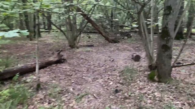 Алена Полынь Отзывы - Империя Сильнейших ведьм смотреть онлайн