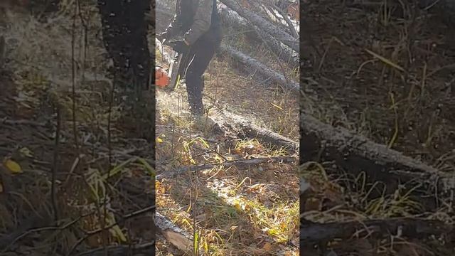 Ручная валка смотреть онлайн
