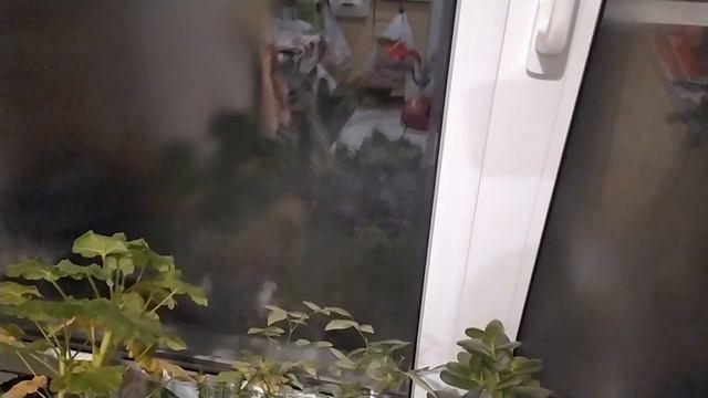 Мандариновое варенье...Пеку пиццу.. Вареники с картошкой на пельменнице.... смотреть онлайн