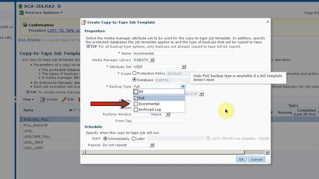 ZDLRA copy-to-tape part 2 смотреть онлайн