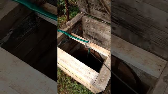 Биоэнергетика / Работа дома 3 (360p).mp4 2020 г.