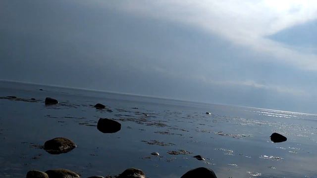 Морские водоросли/ Соловки смотреть онлайн