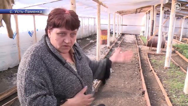 Лето весной смотреть онлайн