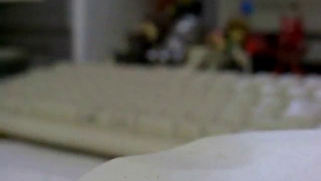 pygmy jerboa　体重測定 смотреть онлайн
