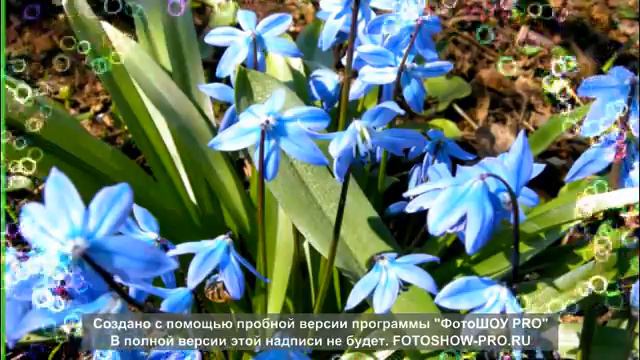 ВЕСНА...ВЕСНА!!! смотреть онлайн