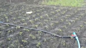 Полив огорода. Система Туман. (Часть 4, последняя )