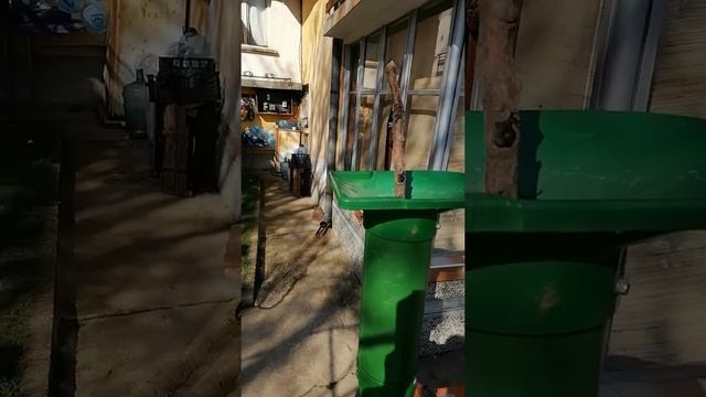 BRILL GLORIA 4000 ESK смотреть онлайн