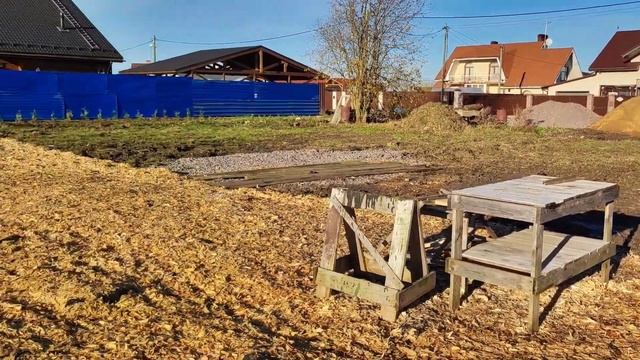 Маточник растений|Строим питомник хвойных растений с 0 смотреть онлайн