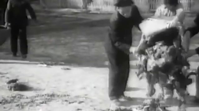 Как природа отомстила китайцам за воробьёв? смотреть онлайн
