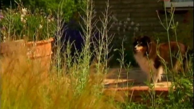 05. Райские сады. Садовник эпохи Возрождения смотреть онлайн