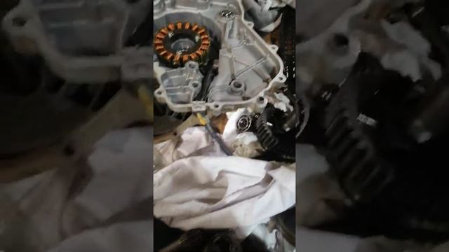 Ремонт двигателя Stels Dinli 700