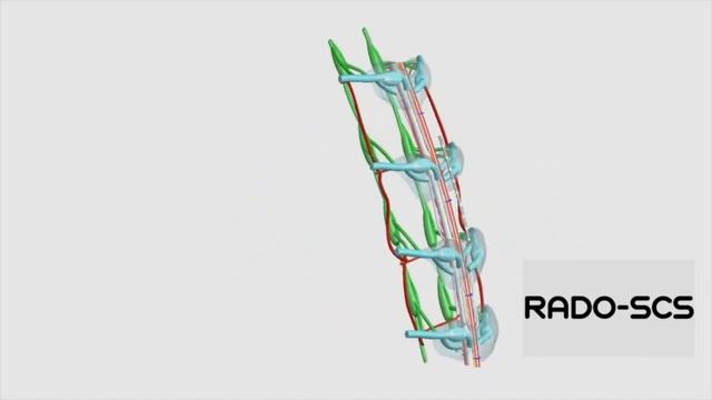 Realistic Anatomically Detailed Open-Source SCS - RADO SCS MODEL - Generation 3 смотреть онлайн