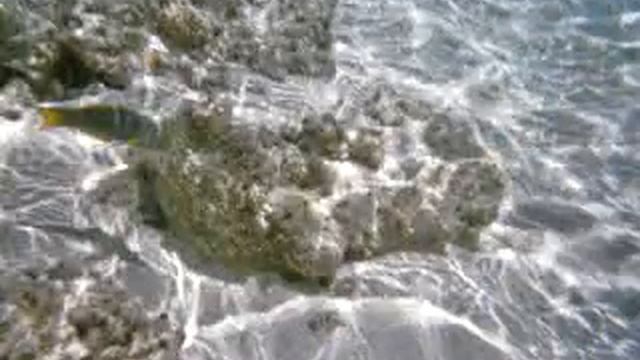 rarotonga trip cook islands смотреть онлайн