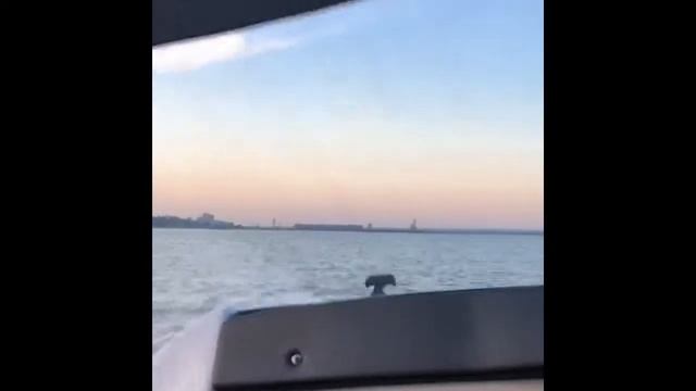 Brp sea doo challenger 180 смотреть онлайн