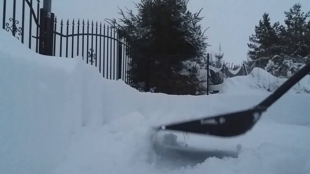 Насыпало снега за одну ночь . Снег, #зима #сугробы смотреть онлайн