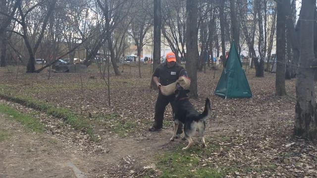 24.04.2016 МОНО ранг КЧК г.Подольск. ВИКИНГ БЛАД, ПРОВЕРКА РК + смотреть онлайн